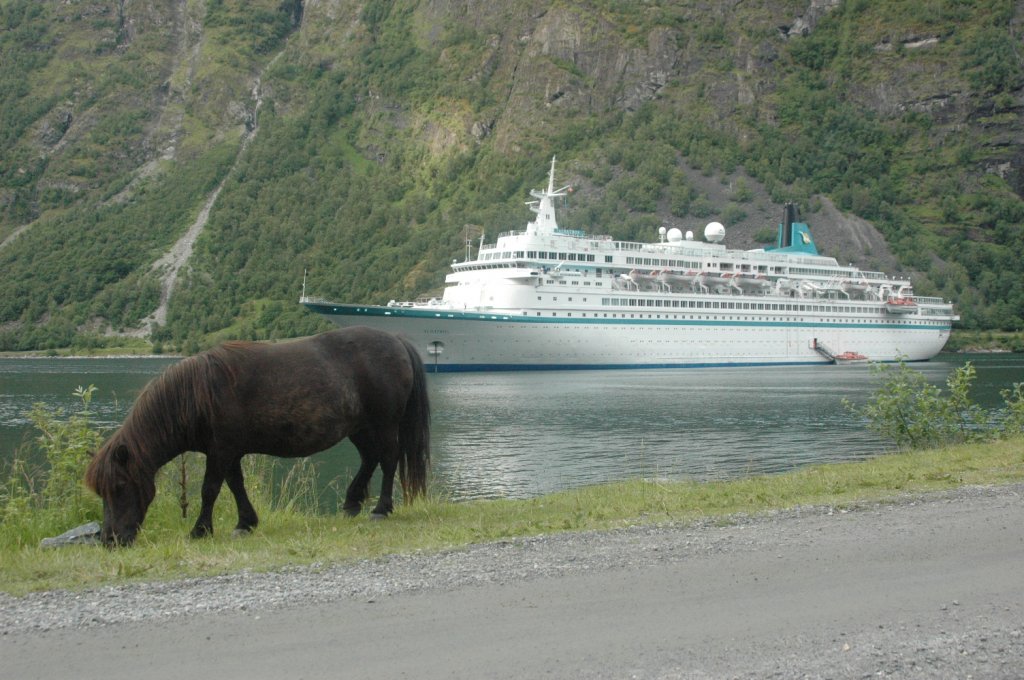 Am 25.06.2011 beobachtete ich dieses Pony am Rande des Geirangerfjords. Im Hintergrund die MS Albatros.
