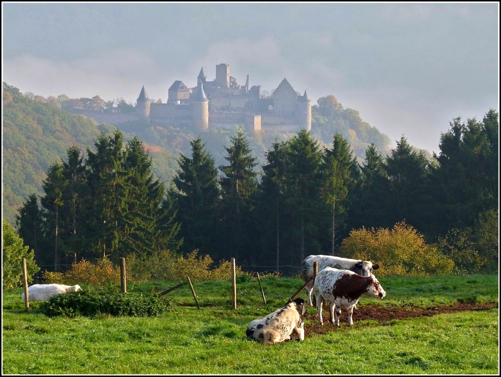 Auf der Strecke von Bourscheid nach Brden habe ich dieses Foto mit dem Schloss von Bourscheid im Hintergrung aufgenommen. 09.10.2010 (Jeanny) 