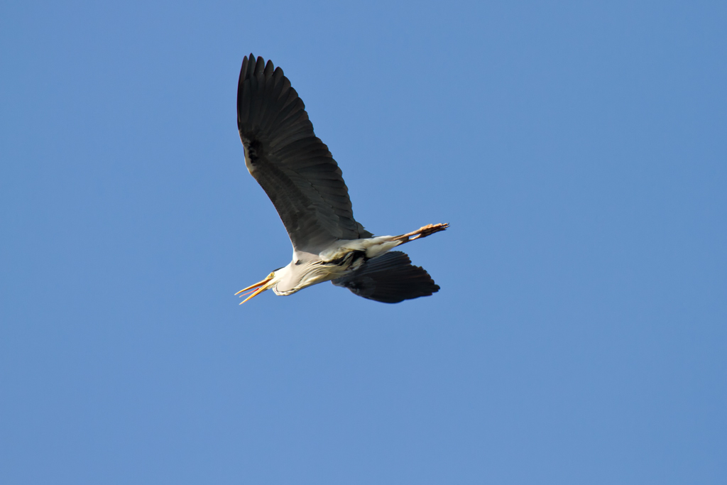 Beim �berflug - 20.05.2011
  