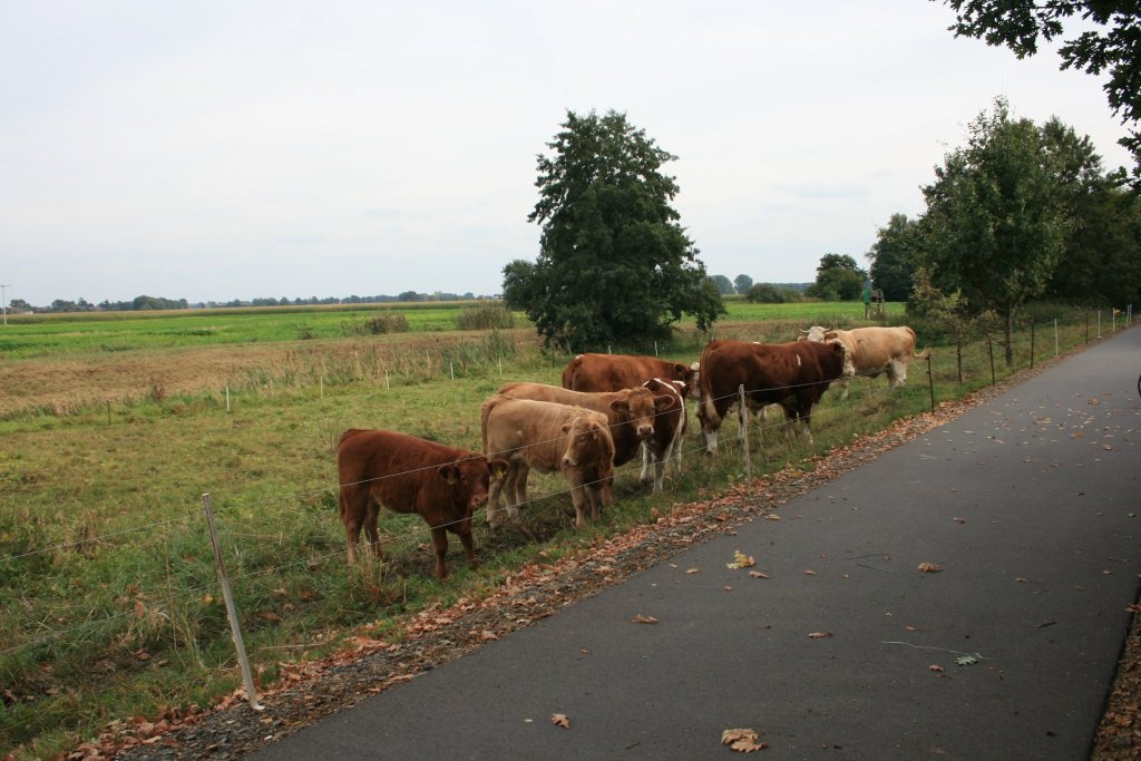 Familienausflug auf die Wiese. 
  