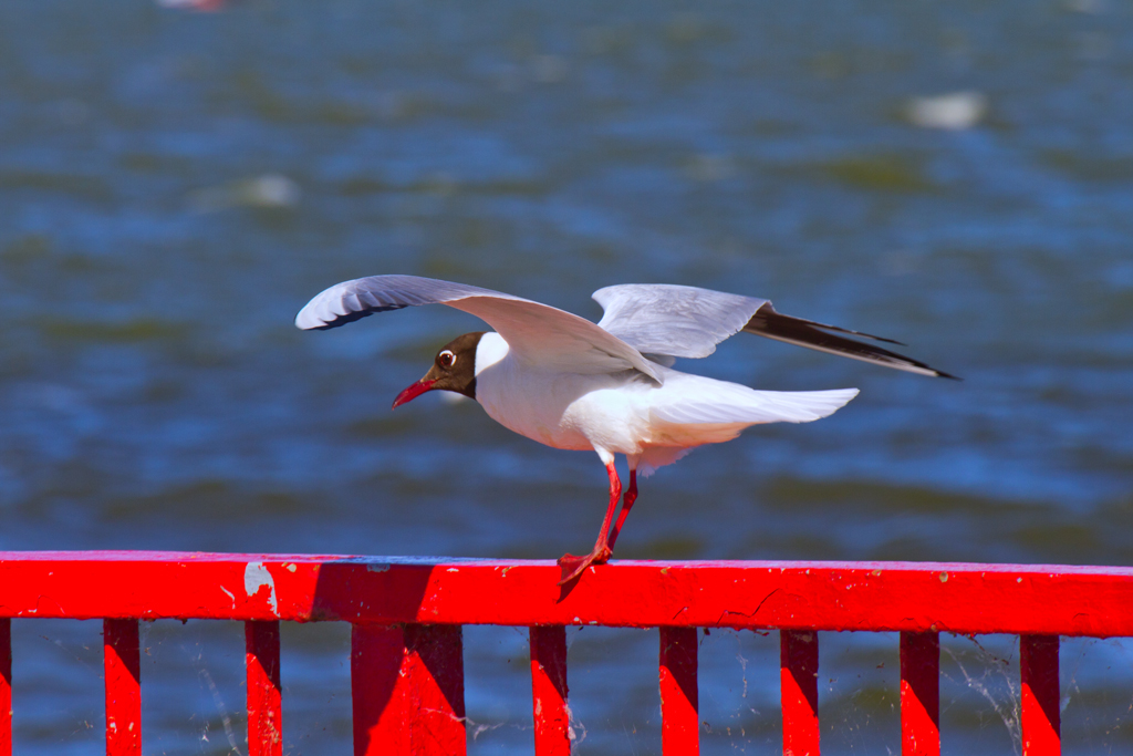 In Balance - 06.11.2011  