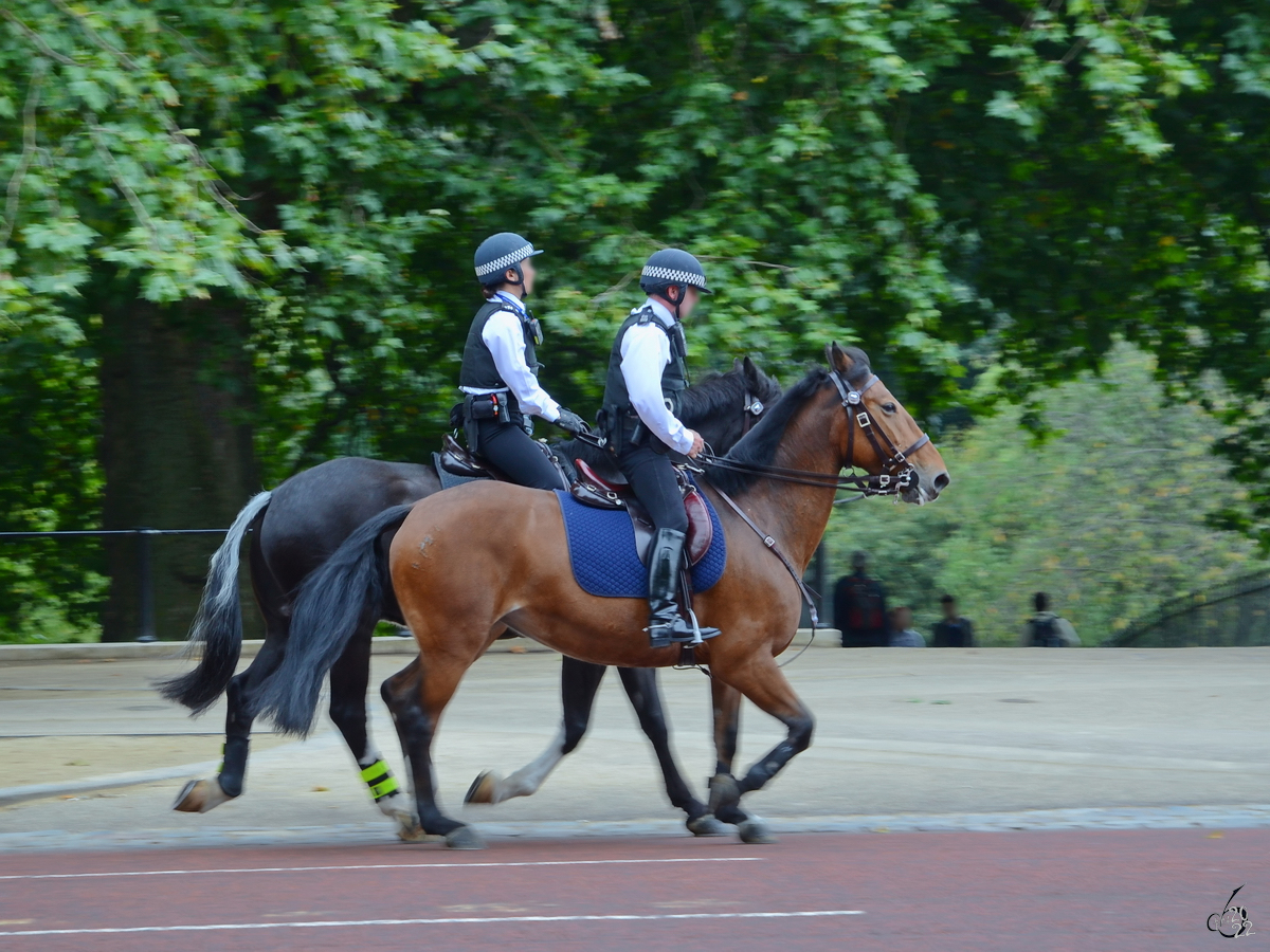Die Londoner Polizei hoch zu Ross, so gesehen Ende September 2013 in der Nhe des Buckingham Palastes.