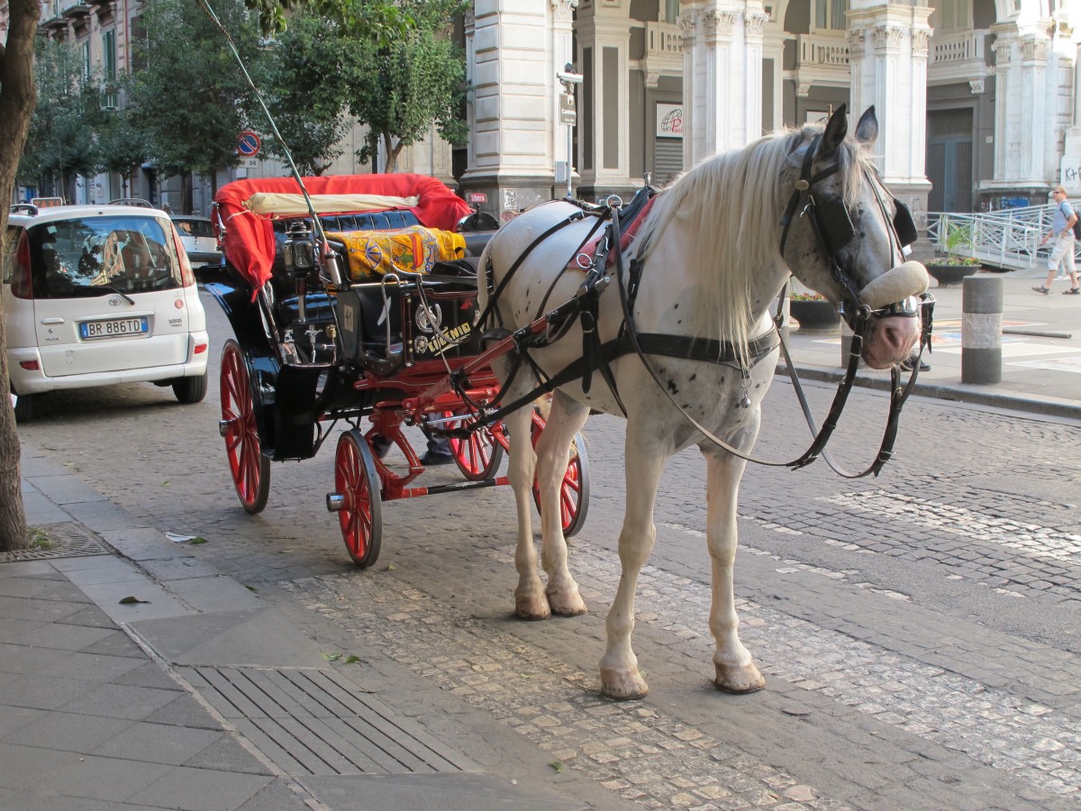 Pferd mit Kutsche am 27. September 2014 in Neapel.