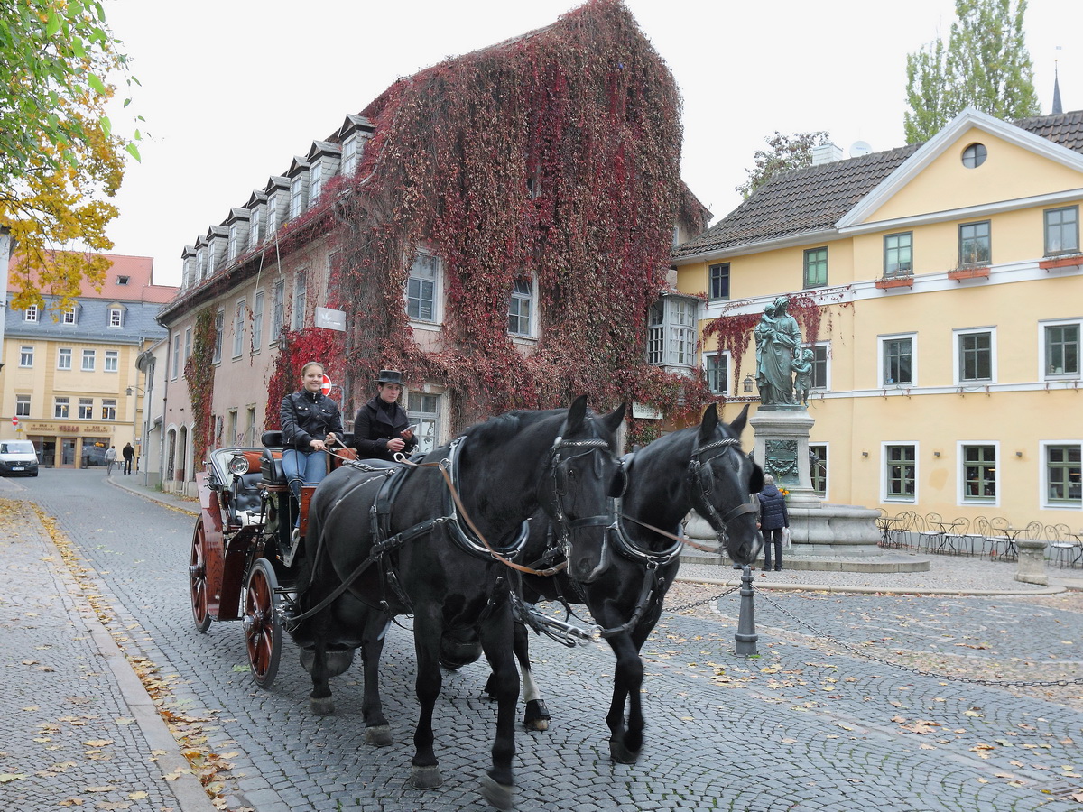 Stadtrundfahrts-Kutsche vor dem  Hababusch Haus und Donndorf-Brunnen in Weimar am 23. Oktober 2015.