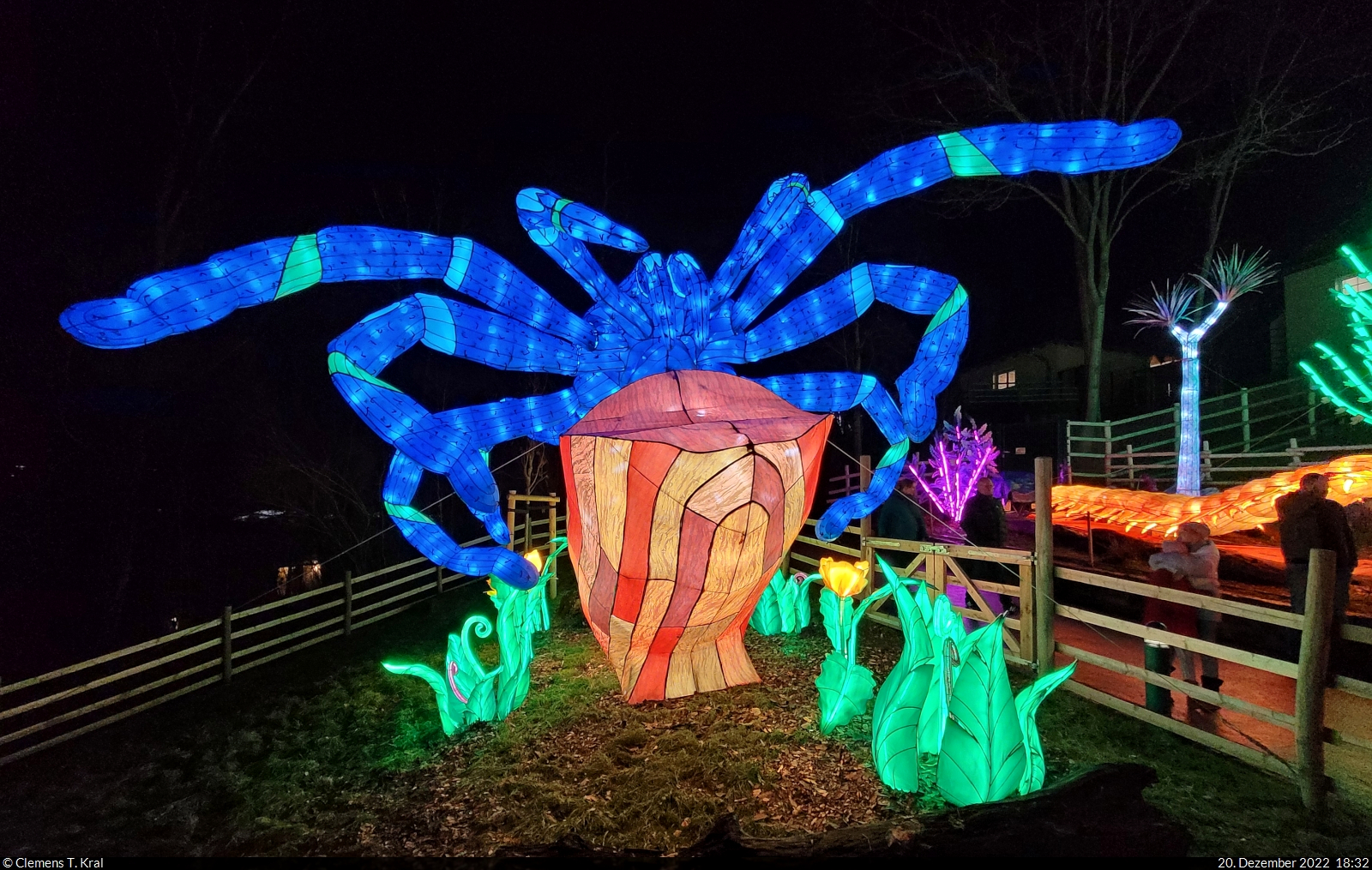 Magische Lichterwelten im Bergzoo Halle (Saale) (3)

Diese riesige LED-Spinne wechselte sekndlich ihre Farbe.

🕓 20.12.2022 | 18:32 Uhr