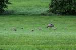 Hier ist der Clan ...  Andr� Breutel 16.07.2011