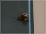 Bevor ich ...  De Rond Hans und Jeanny 01.10.2011