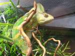 Im Zoo ...  sebastian s�ss 11.10.2011