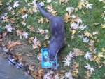 IM ZOO K�LN  ...  Sebastian S�ss 31.10.2011