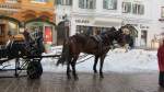sonstige Eine Pferdekutsche wartet in Kitzb�hel auf Kundschaft.(26.12.2011)