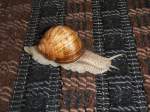 Genau, sch�n die F�sse ...  Ufinger 11.01.2012