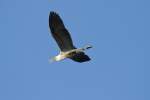 Beim �berflug ...  Gerd Wiese 17.01.2012