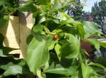 Auf der ...  Frank Gutschmidt 08.11.2009