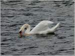Das St�ck Brot, welches ...  De Rond Hans und Jeanny 14.02.2012