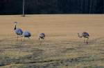 Meinem ersten Besuch bei ...  Andr� Breutel 22.02.2012