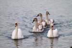 Familienausflug - 23.02.2012   ...