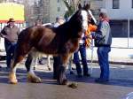 Pferdehandel mit Handschlagqualit�t; 120222   ...