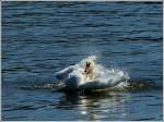 Zuerst waschen... 01.04.2012 (Jeanny) ...  De Rond Hans und Jeanny 02.04.2012