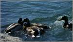 M�nnergespr�che �ber?...   ...  Christine Wohlfahrt 06.04.2012