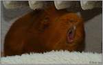 G�����hhn!

M�de war ...  Patrick Heine 08.04.2012