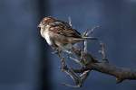  Ein sch�ner R�cken kann ...  Rolf Reinhardt 15.04.2012