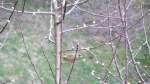 Ein mir ...  Markus  19.04.2012