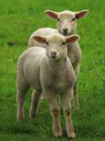 Neugierig werde ...  Mario Sch�rholz 08.05.2012