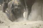 Viel Staub aufwirbeln dami ...  G�rard - Nicolas Mannes 22.11.2009