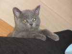 Sonstige Guck Guck, ist die Luft rein???