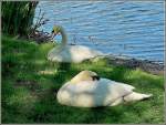W�hrend sich die Eltern ...  De Rond Hans und Jeanny 03.06.2010