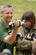 Stinktiere sind entfernt mit ...  Andy Hensel 15.06.2010
