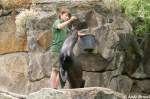  Und noch'n Fisch . F�tterung ...  Andy Hensel 26.06.2010