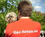 Inka - ein Yorkshire/Malteser-Mix ...  Andy Hensel 02.07.2010