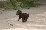 Fr�hestens nach neun bis ...  Andy Hensel 02.07.2010