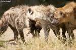 Toll!!! Alles k�mmert sich ...  Andy Hensel 03.07.2010