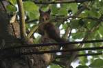 ...Guckt mal, ...  Andr� Breutel 23.10.2009