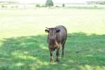 Hallo mein Name ist ...  Thomas Flebbe 21.08.2010