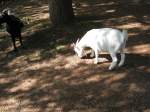 Hier habe ich eine ...  Manfred11051965 13.09.2010