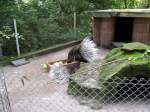 Dieses Bild zeigt zwei ...  Manfred11051965 13.09.2010