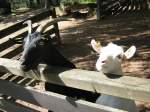 Hier habe ich eine ...  Manfred11051965 13.09.2010