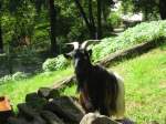 Hier habe ich eine ...  Manfred11051965 13.09.2010