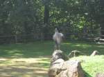 Hier habe ich ein ...  Manfred11051965 13.09.2010