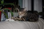 Sonstige 'mein Leben ist sch�n' im Oktober 2010