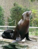 Seel�we am 28.06.2009 in ...  Manfred M�ldner 09.04.2011