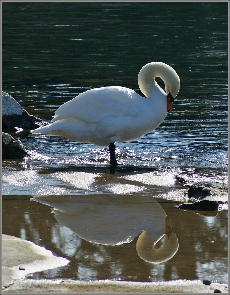 Blick in den Spiegel...
(28.02.2012) 