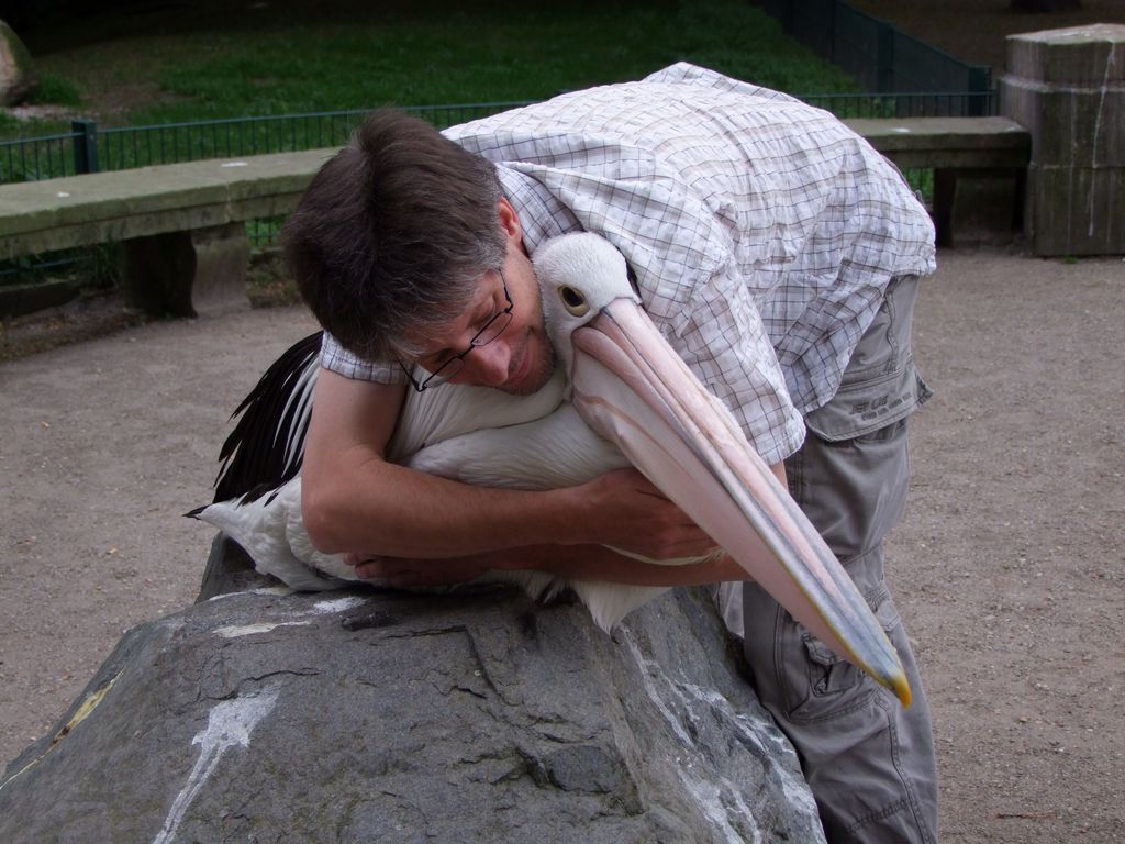 Brillenpelikan Max und der Pelikanflsterer im Tierpark Berlin bei einer Kuschelrunde. :-)))