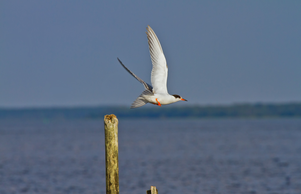 Der Abflug - 17.08.2011 