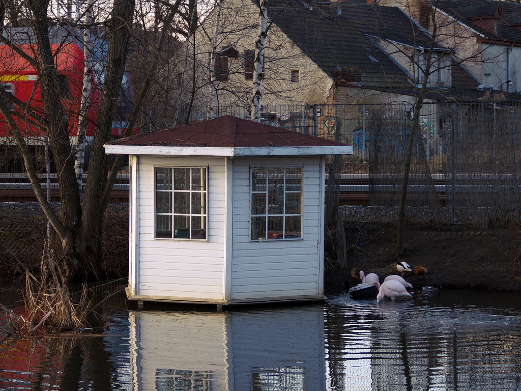 Direkt hinter den  Bahngleise die Schnefeld in Brandenburg erbarmungslos in zwei Hlften teilen, befindet sich der Schutzbereich fr die Tiere im  Flamingoteich. Aufnahme vom 25. Januar 2012.