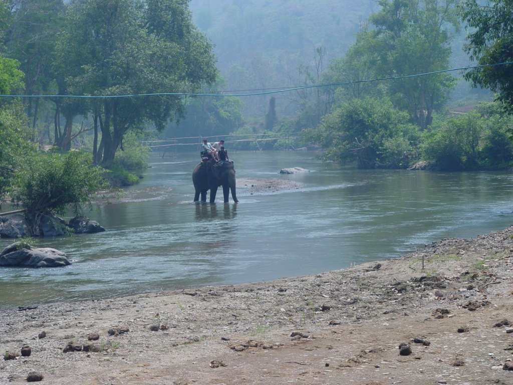 Ein asiatischer Elefant beim Durchqueren eines Flusses im Norden Thailands in der Nhe von Chiang Mai (2007)