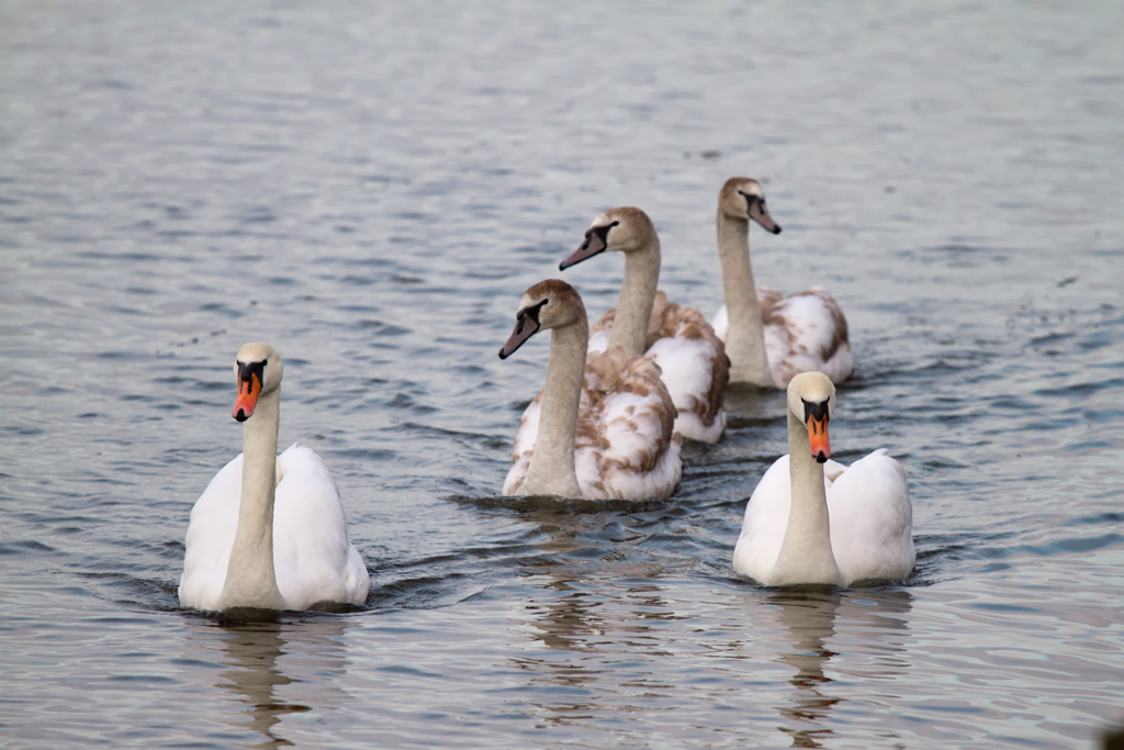 Familienausflug - 23.02.2012